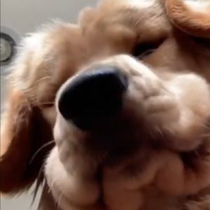 Meet your Posher, Edward